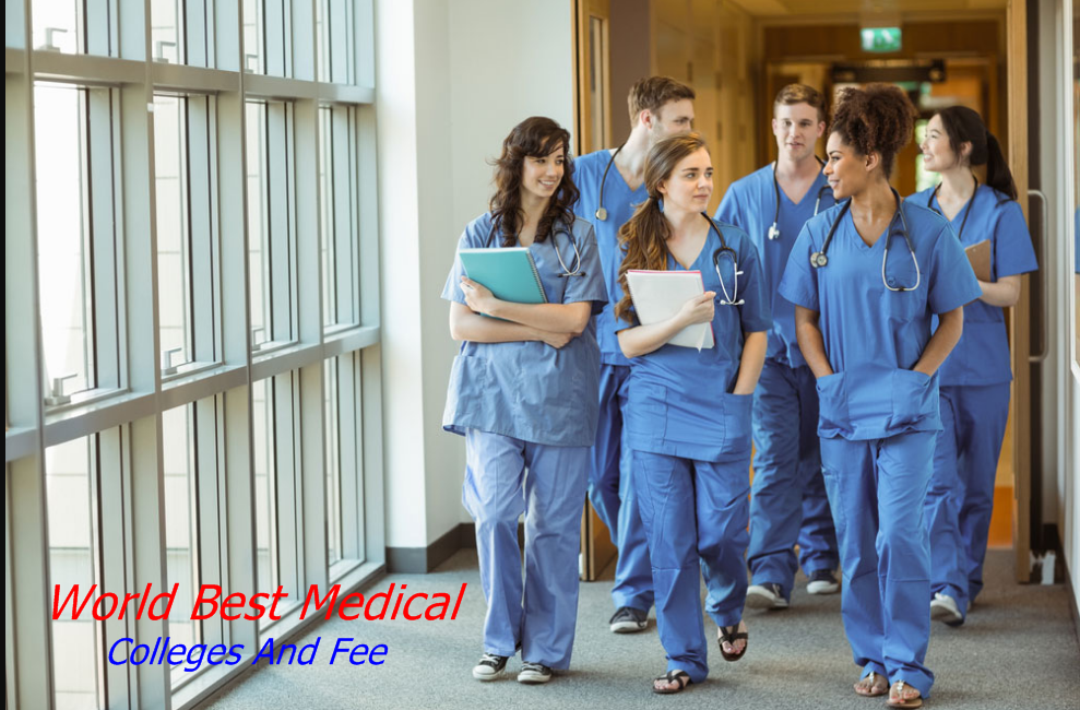 World Best Medical Colleges And Fee